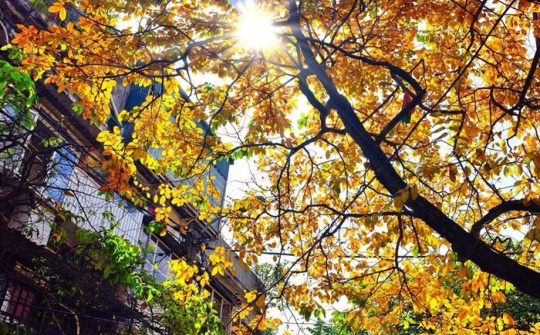 Dự báo thời tiết 20/12: Miền Bắc nắng ấm, có nơi hơn 28 độ