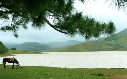 Phê duyệt quy hoạch Khu du lịch quốc gia Đankia - Suối Vàng, tỉnh Lâm Đồng