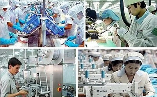 Khẩn trương hoàn thành Nghị quyết nâng cao năng lực cạnh tranh 2019