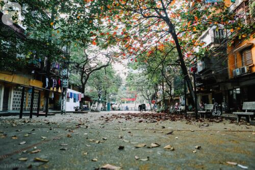 Dự báo thời tiết ngày 23/12: Ảnh hưởng không khí lạnh, Bắc Bộ và Bắc Trung Bộ mưa rét