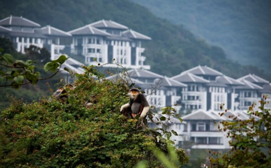 Ông Juan Losada: 'Bảo tồn thiên nhiên không phải là chiến lược mà là trách nhiệm'