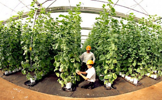 Quy chế hoạt động của Khu CNC công nghệ sinh học Đồng Nai