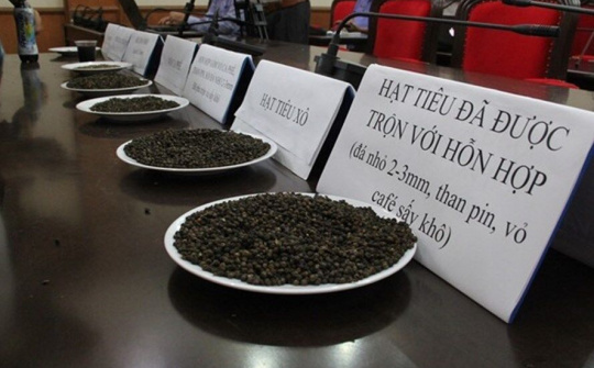 Xét xử vụ dùng lõi pin con ó đấu trộn với hồ tiêu