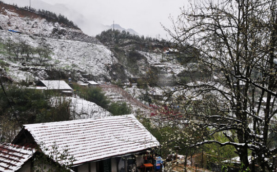 Dự báo thời tiết 29/12: Miền Bắc rét đậm, Sa Pa xuống 0 độ 