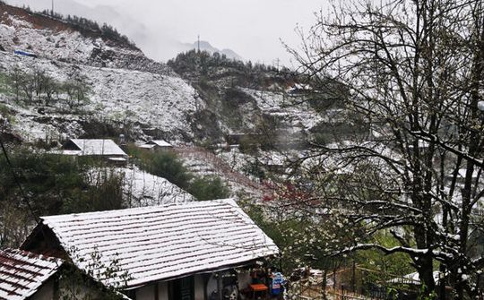 Dự báo thời tiết 29/12: Miền Bắc rét đậm, Sa Pa xuống 0 độ 