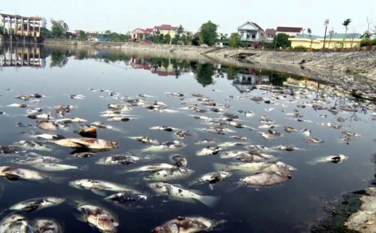 Nghệ An: Cá chết nổi trắng hồ Cửa Nam