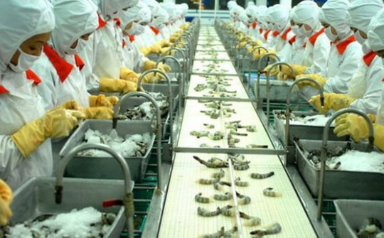 Kim ngạch xuất khẩu thủy sản có thể đạt 8,8 tỷ USD trong năm 2018