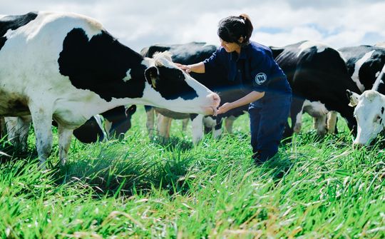 Vinamilk có hệ thống trang tại đạt chuẩn Global Gap lớn nhất châu Á