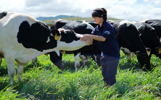 Thị trường sữa đã bão hòa, Vinamilk còn đất nào để tăng trưởng?