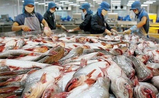 Quảng bá gạo và cá tra Việt Nam tại Philippines