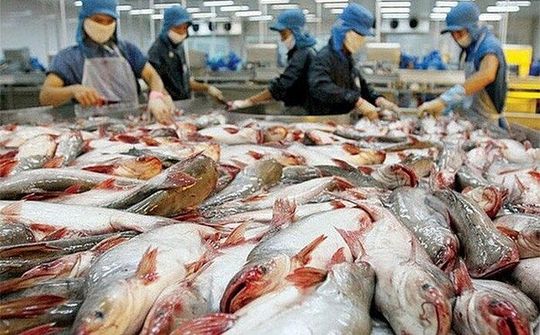 Quảng bá gạo và cá tra Việt Nam tại Philippines
