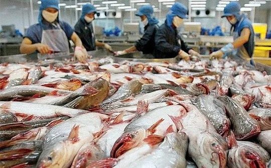 Quảng bá gạo và cá tra Việt Nam tại Philippines
