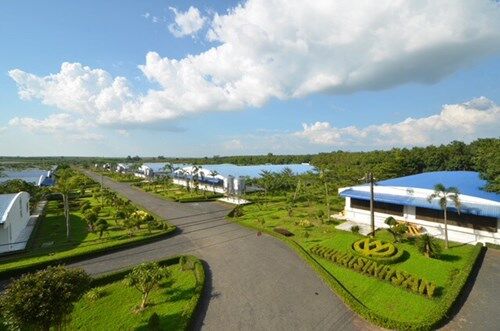 CTCP Chăn nuôi CP Việt Nam: Nỗ lực không ngừng để được người tiêu dùng đánh giá cao