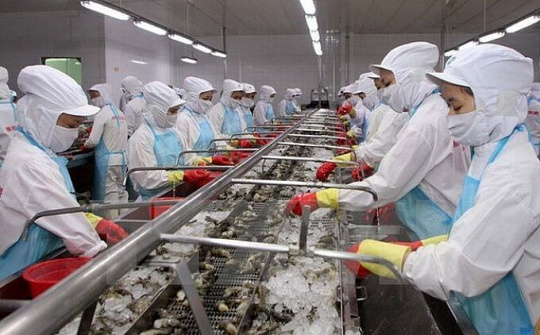 Gia tăng kim ngạch thương mại Việt Nam - Australia