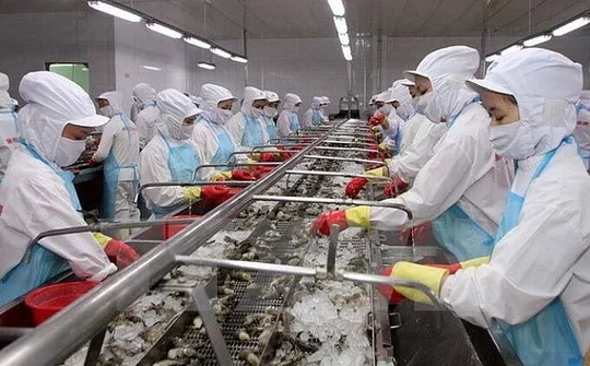 Gia tăng kim ngạch thương mại Việt Nam - Australia