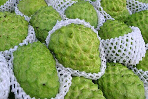 Na Đài Loan có giá khoảng 200.000 đồng/quả đổ về Việt Nam