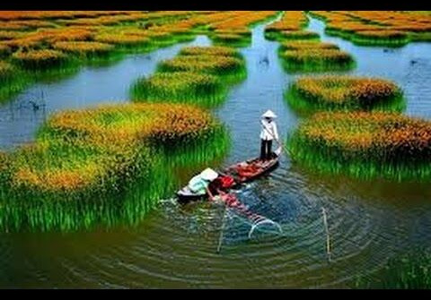 Welcome to Vietnam (by Bộ Ngoại giao)