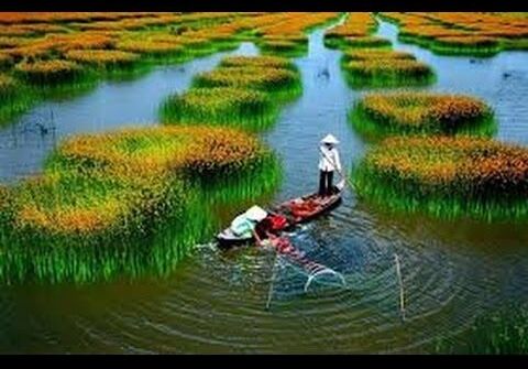 Welcome to Vietnam (by Bộ Ngoại giao)