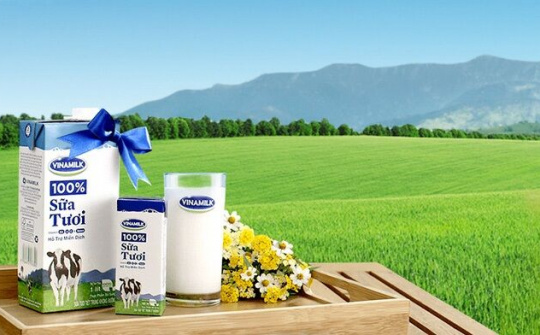 BVSC: M&A là động lực tăng trưởng mới của Vinamilk, lãi 2018 dự tăng 5%