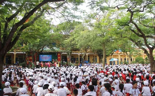 Nam Định: Trường Tiểu học Nam Mỹ đón nhận Huân chương lao động Hạng Ba