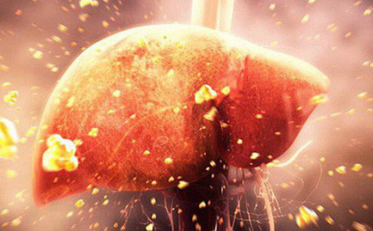 Nghiên cứu lâm sàng chứng minh hiệu quả của PROBIOTICS trong kiểm soát tăng men gan, giảm viên loét dạ dày hành tá tràng