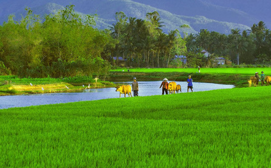 Từ lũy tre làng ra biển lớn