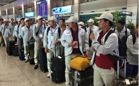 Tránh sập bẫy lừa đảo qua xuất khẩu lao động
