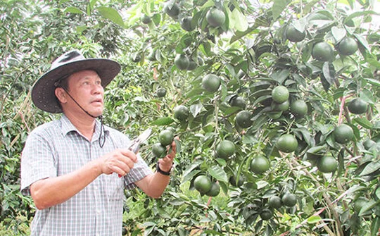Thành quả từ khát vọng và quyết tâm vượt khó