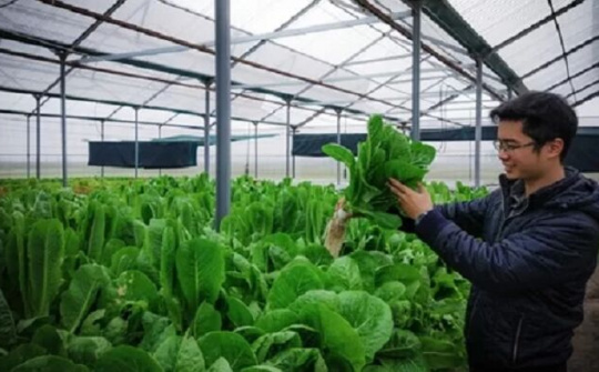 200 tỷ đồng hỗ trợ vốn cho thanh niên về quê khởi nghiệp