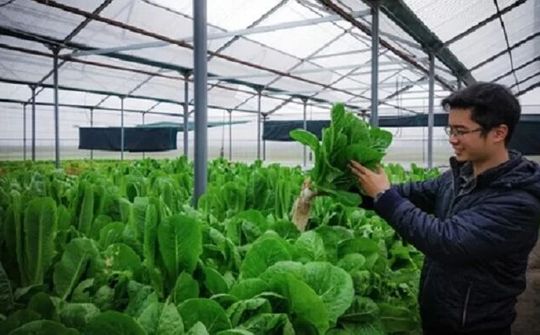 200 tỷ đồng hỗ trợ vốn cho thanh niên về quê khởi nghiệp