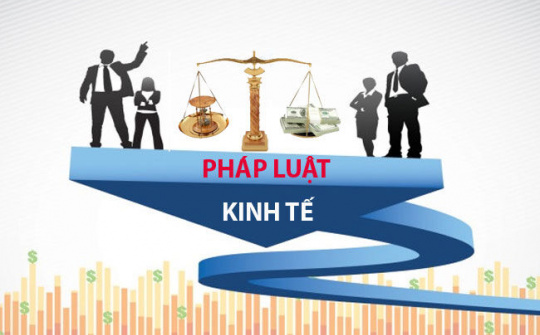 Hoàn thiện pháp luật kinh tế trong tiến trình hội nhập