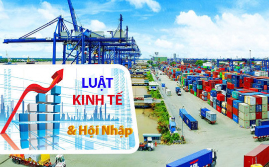 Luật kinh tế - “ngành quyền lực”trong thời kỳ hội nhập