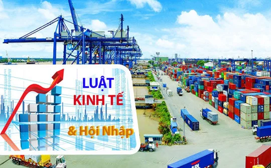 Luật kinh tế - “ngành quyền lực”trong thời kỳ hội nhập