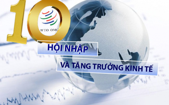 Việt Nam 10 năm WTO