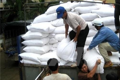 Chỉ đạo, điều hành của Chính phủ, Thủ tướng Chính phủ xuất cấp gạo cho 2 tỉnh
