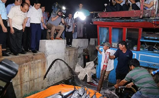 Bộ Y tế công bố hải sản bốn tỉnh miền Trung 'bảo đảm an toàn'