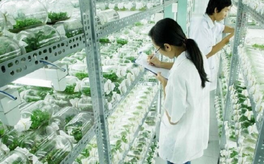 Phê duyệt Đề án phát triển Viện công nghệ sinh học, Đại học Huế