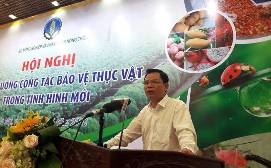 Báo động lạm dụng thuốc bảo vệ thực vật