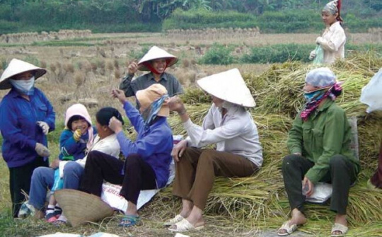 Một số giải pháp giải quyết việc làm cho lao động nữ nông thôn ở tỉnh Thái Bình