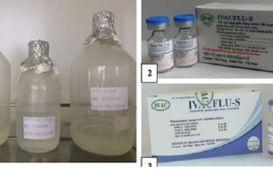 Vaccine cúm mùa do Việt Nam sản xuất rẻ bằng 1/3 hàng nhập