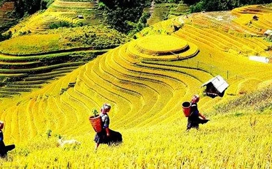 Mùa thu Việt Nam hút khách du lịch