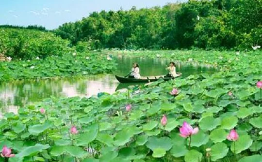 Lễ hội Sen Đồng Tháp lần thứ I năm 2018