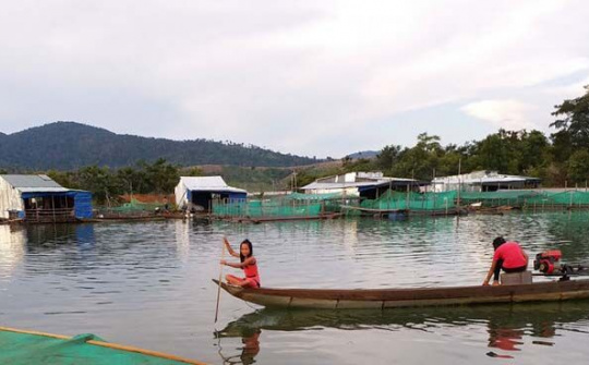Bài 1: Gia Lai di dân tự do và “nghịch lý” di dân kiểu ngược