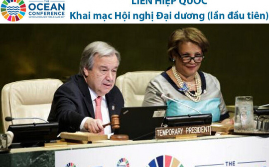 LHQ kêu gọi bảo vệ đại dương