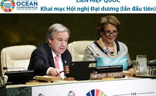 LHQ kêu gọi bảo vệ đại dương