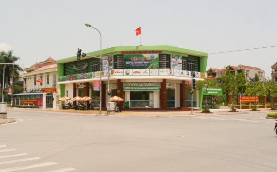Hiệp hội Nông nghiệp sạch tỉnh Nam Định: Phát triển và hội nhập