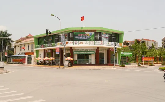 Hiệp hội Nông nghiệp sạch tỉnh Nam Định: Phát triển và hội nhập