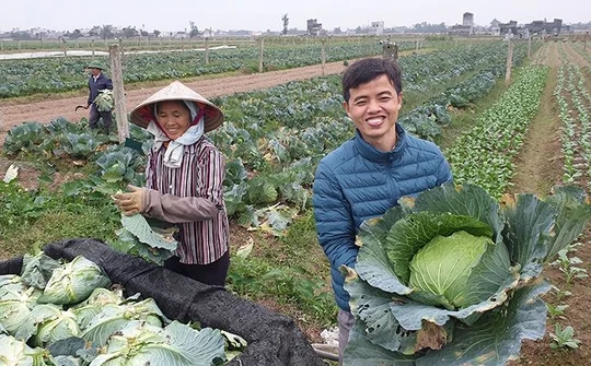 Chủ trương đổi mới: Tái cơ cấu nghành nông nghiệp Nam Định