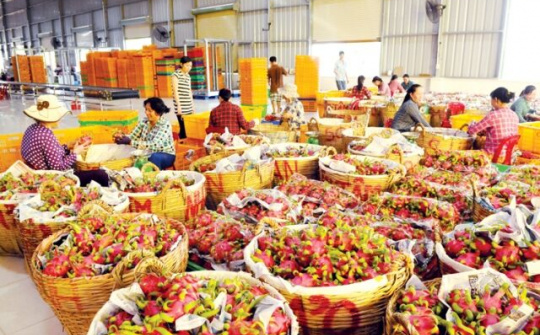 Tăng trưởng xuất khẩu: Cần chuyển từ lượng sang chất