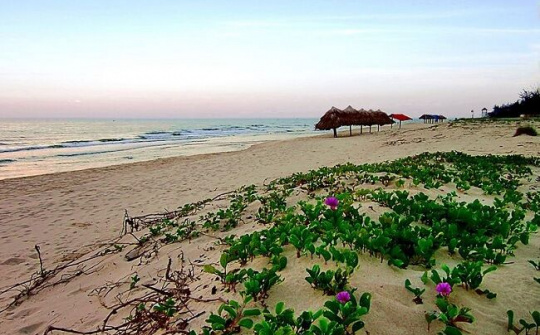 Hoạt động du lịch tại 4 tỉnh miền Trung đã trở lại bình thường